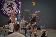 Bayernliga - Volleyball Frauen - Saison 2026/27 - MTV Ingolstadt - Niederviehbach  - Maul Alexia schwarz MTV Ing - Foto: Meyer Jürgen