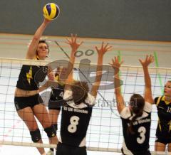 Damen Volleyball - MTV Ingolstadt - SW München - 15 R. Knapp