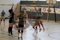 MTV Damen Volleyball - SV Germering - Franziska Fronzke (11) - Foto: Jürgen Meyer