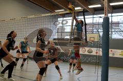 MTV Damen Volleyball - SV Germering - Franziska Fronzke (11) - Foto: Jürgen Meyer